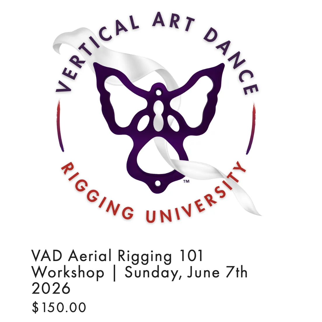 VAD Aerial Rigging 101 workshop